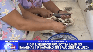 P10-M Livelihood Project sa ilalim ng Bayanihan II ipinamahagi ng BFAR Central Luzon