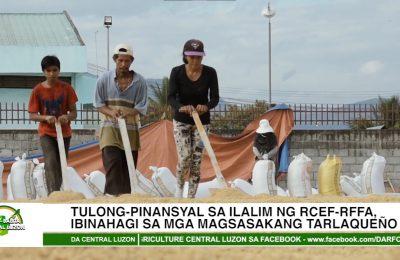 Tulong-pinansyal sa ilalim ng RCEF-RFFA, ibinahagi sa mga magsasakang Tarlaqueño | Agri-Balita Central Luzon