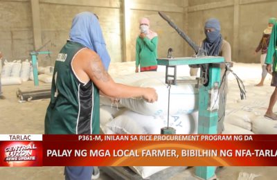 Palay ng mga local farmer, bibilhin ng NFA-Tarlac