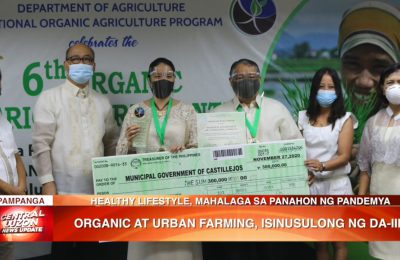 Organic at urban farming, isinusulong ng Department of Agriculture Region 3 | News