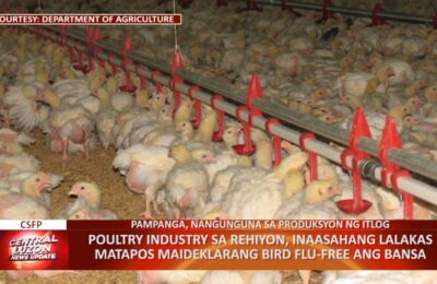 Poultry industry sa Central Luzon, inaasahang lalakas matapos maideklarang bird flu-free ang bansa