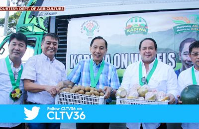 Industriya ng kalabasa patok sa Nueva Ecija