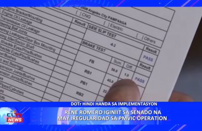 Rene Romero iginiit sa senado na may iregularidad sa PMVIC operation