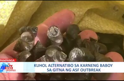 Kuhol alternatibo sa karneng baboy sa gitna ng African Swine Fever outbreak