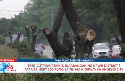 Tree  cutting permit, inaabangan ng DPWH District 3 para sa higit 200 puno sa FIL-AM Highway