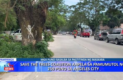 Save The Trees Coalition aapela sa pamumutol ng  259 puno sa Angeles City