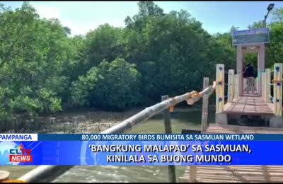 ‘Bangkung Malapad’ sa Sasmuan, kinilala sa buong mundo