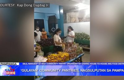 ‘Gulayan’ community pantries, nagsulputan sa Pampanga | Pampanga News