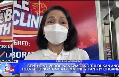 Sen. Hontiveros nanawagang tuldukan ang red-tagging sa mga community pantry organizer | Central Luzon News