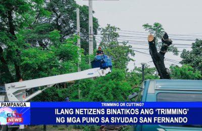 Ilang netizens binatikos ang ‘trimming’ ng mga puno sa Siyudad San Fernando | Pampanga News