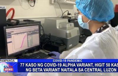 77 kaso ng COVID-19 Alpha variant, higit 50 kaso ng Beta variant naitala sa Central Luzon | Central Luzon News