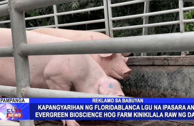 Kapangyarihan ng Floridablanca LGU na ipasara ang Evergreen Bioscience Hog Farm kinikilala raw ng DA-III