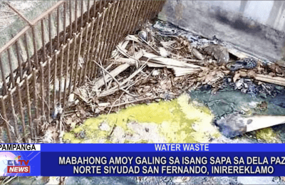 Mabahong amoy galing sa isang sapa sa Dela Cruz Paz Norte Siyudad San Fernando, inireklamo