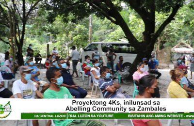 Proyektong 4Ks, inilunsad sa Abelling Community sa Zambales | Agri-Balita Central Luzon