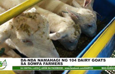 Implementasyon ng DA sa Mandanas Ruling at PAFES, inihahanda na | Agri-Balita Central Luzon