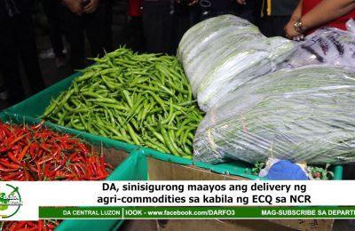 DA, sinisigurong maayos ang delivery ng agri-commodities sa kabila ng ECQ sa NCR | Agri-Balita Central Luzon