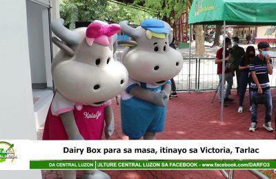 Dairy Box para sa masa, itinayo sa Victoria, Tarlac | Agri-Balita Central Luzon