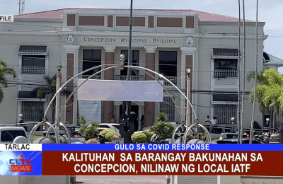 Kalituhan sa Barangay Bakunahan sa Concepcion, nilinaw ng Local IATF