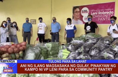 Ani ng ilang magsasaka ng gulay, pinakyaw ng kampo ni VP Leni para sa community pantry