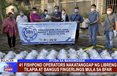 41 fishpond operators nakatanggap ng libreng tilapia at bangus fingerlings mula sa BFAR