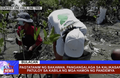 Pagtatanim ng bakawan, pangangalaga sa kalikasan patuloy sa kabila ng mga hamon ng pandemya