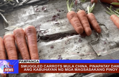 Smuggled carrots mula China, pinapatay daw ang kabuhayan ng mga magsasakang Pinoy