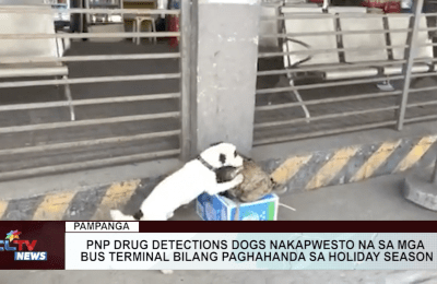 PNP drug detections dogs nakapwesto na sa mga bus terminal bilang paghahanda sa holiday season