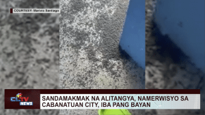 Sandamakmak na alitangya, namerwisyo sa Cabanatuan City, iba pang bayan