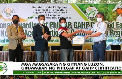 Mga magsasaka sa Gitnang Luzon, ginawaran ng PHILGAP at GAHP Certifications | Agri-Balita Central Luzon