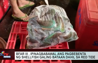 BFAR-III, ipinagbababawal ang pagbebenta ng shellfish galing Bataan dahil sa red tide | CLTV News Clip