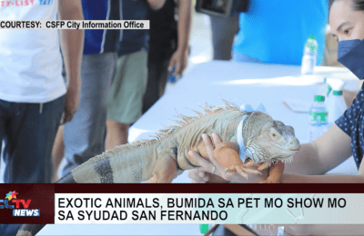 Exotic animals bumida sa “Pet Mo, Show Mo” sa  Syudad San Fernando | CLTV News Clip