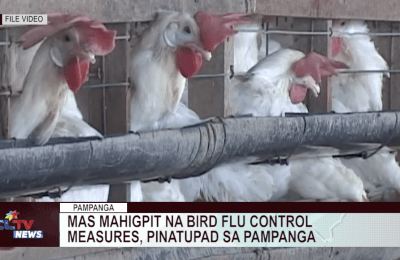 Mas mahigpit na bird flu control measures, ipinatupad  | CLTV News Clip