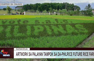 NUEVA ECIJA | Artwork sa palayan tampok sa DA-Philrice future rice farm