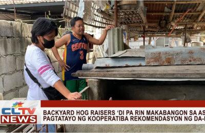 Backyard hog raisers ‘di pa rin makabangon sa ASF, pagtatayo ng kooperatiba rekomendasyon ng DA-III