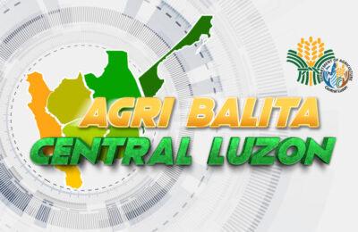 Agri Balita | 7:00 - 7:30 PM, FRIDAY