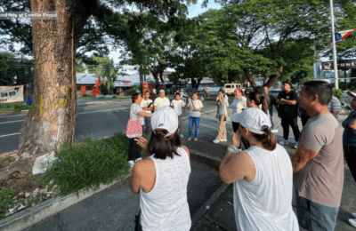 Pangangalaga sa 259 friendship trees sa Angeles City, panawagan ng Save the Trees Coalition