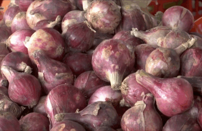 Smuggled onions, posibleng banta sa kalusugan ng publiko: DA