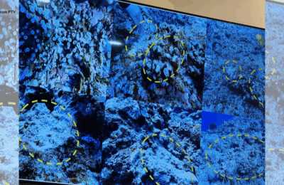 ₱11-M na pinsala sa Pag-asa coral reef, dulot ng pagsadsad ng Chinese vessel