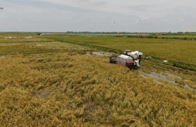 Halos ₱500-M na ayuda, ilalaan ng DA sa mga nasalantang magsasaka at mangingisda