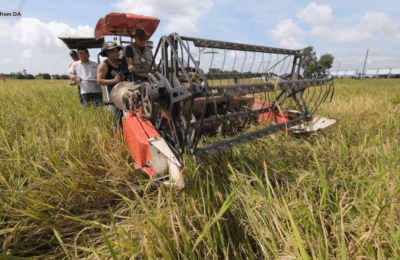 Floor price ng palay, itatakda sa ilalim ng bagong polisiya ng gobyerno