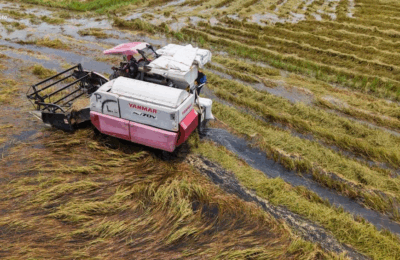 Halos ₱200-M agri damage, naitala sa Central Luzon matapos manalasa si Bagyong Uwan