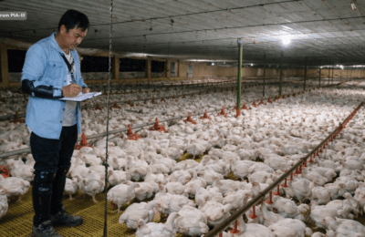 Mas mahigpit na regulasyon sa livestock at poultry farms, ipatutupad sa Nueva Ecija