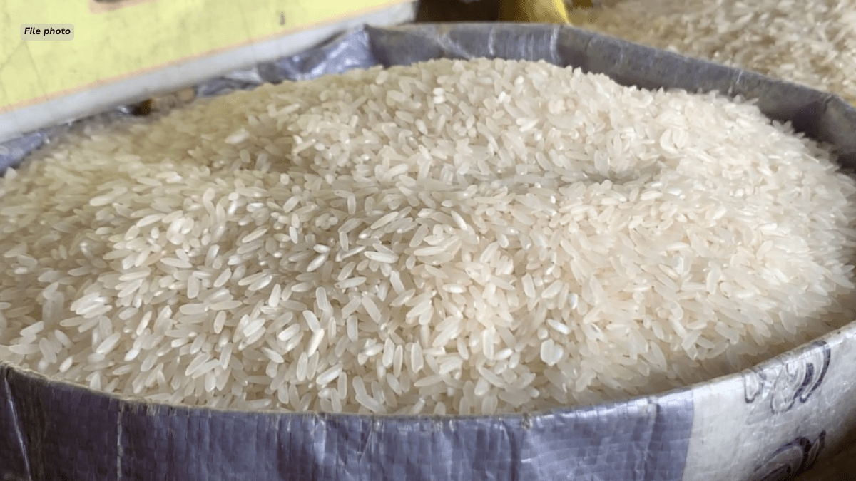 Limitadong rice imports sa Pebrero, ikinokonsidera ng DA