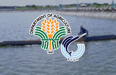 Fuel aid sa mga mangingisda, pinalawak ng BFAR sa gitna ng oil price hike