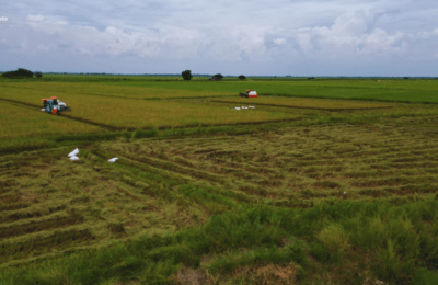 Mataas na presyo at kakulangan ng agri inputs, posibleng banta sa food production