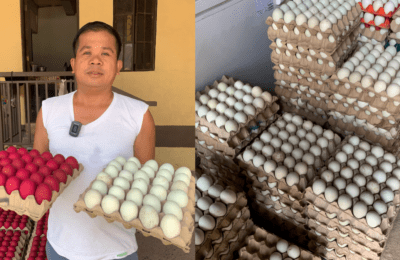 Egg producers sa Candaba, sinasalanta na ng mataas na presyo ng krudo