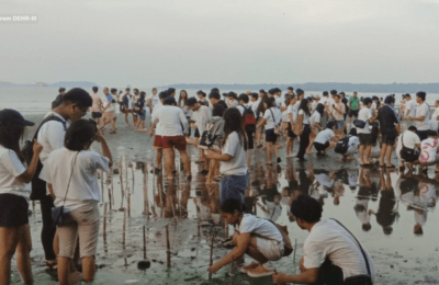 Libo-libong mangrove, itinanim sa Zambales para sa coastal rehabilitation
