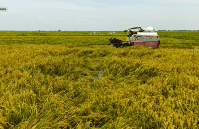 ₱34-M agri and fisheries damage, naitala sa Pampanga bunsod ng mga bagyo, habagat