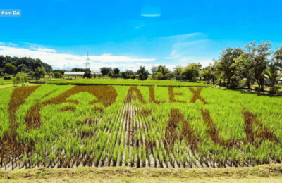 Giant artwork para kay Alex Eala, masisilayan sa Nueva Ecija