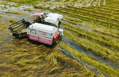 Pinsala ng habagat at mga bagyo sa infra, agri sa Gitnang Luzon, pumalo na sa ₱12.7-B: RDRRMC